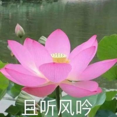 【境内疫情观察】云南新增12例本土病例（7月10日）